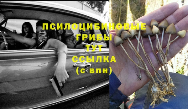 бошки Волоколамск