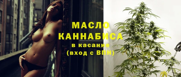 дживик Верхний Тагил