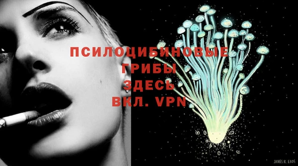 кокс Верея